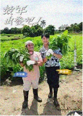 红叶影院 票房资讯